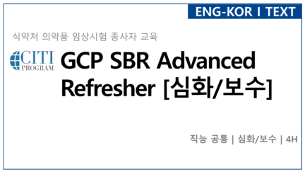 GCP SBR Advanced Refresher [심화/보수]