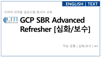 GCP SBR Advanced Refresher [심화/보수]